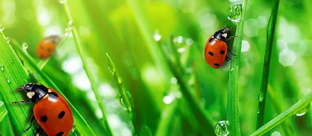 Horoskop vom  Sonntag 12 April 2026