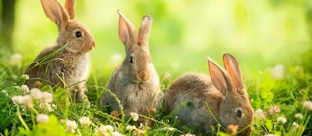 Horoskop vom  Mittwoch 15 April 2026