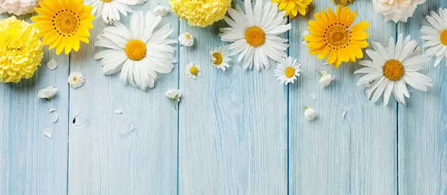 Horoskop vom  Sonntag 19 April 2026