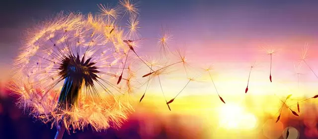 Horoskop vom  Montag 25 Mai 2026