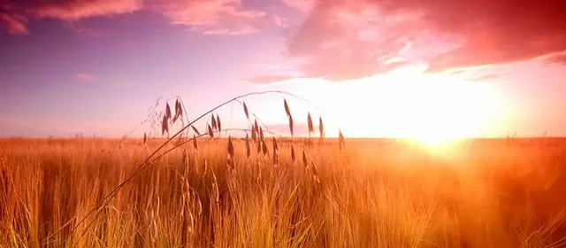 Horoskop für Freitag 1 August 2025