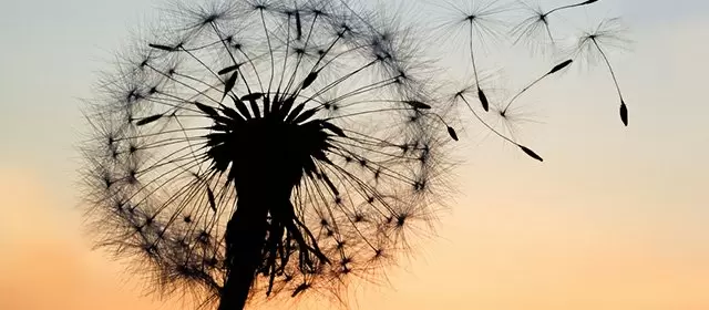 Horoskop für Mittwoch 13 August 2025