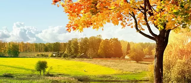 Horoskop für Freitag 3 Oktober 2025