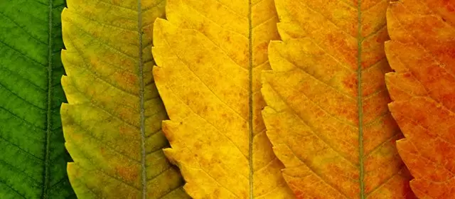 Horoskop für Samstag 4 Oktober 2025