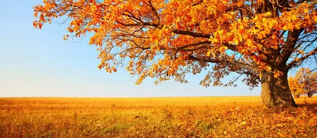 Horoskop für Donnerstag 9 Oktober 2025