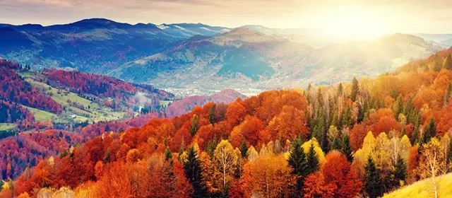 Horoskop für Donnerstag 16 Oktober 2025