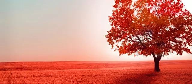 Horoskop für Freitag 17 Oktober 2025
