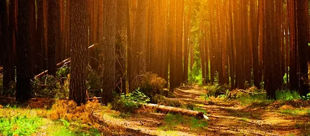 Horoskop für Montag 20 Oktober 2025