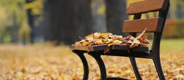 Horoskop für Donnerstag 23 Oktober 2025