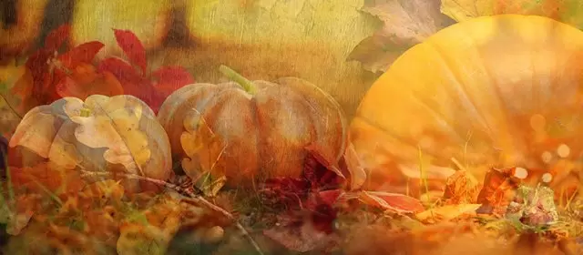 Horoskop für Freitag 31 Oktober 2025