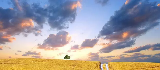 Horoskop für Samstag 1 November 2025