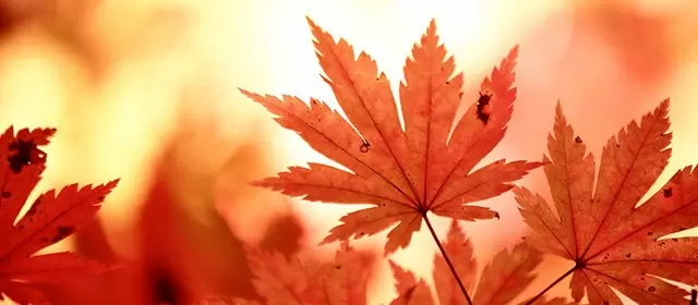 Horoskop für Samstag 8 November 2025