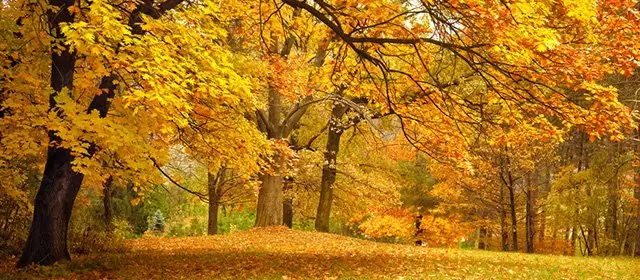 Horoskop für Montag 10 November 2025