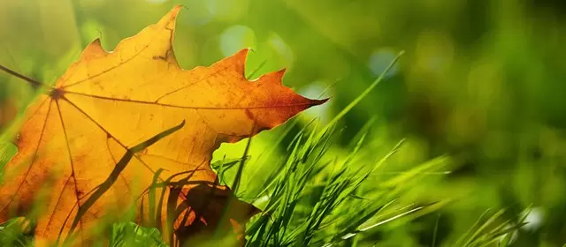 Horoskop für Dienstag 11 November 2025