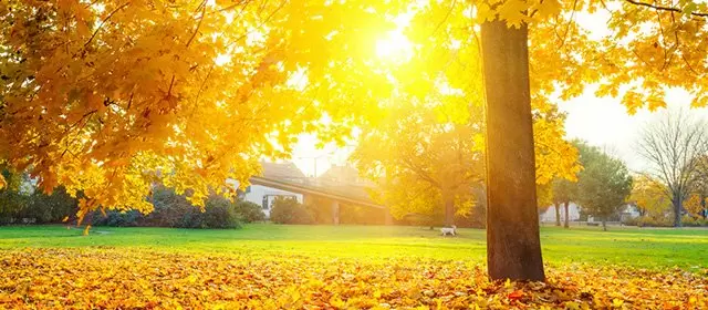 Horoskop für Mittwoch 12 November 2025