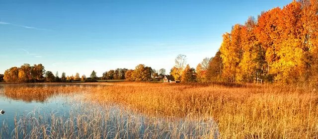 Horoskop für Donnerstag 13 November 2025