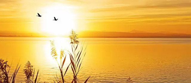 Horoskop vom Freitag 14 November 2025