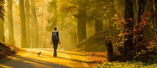 Horoskop vom Montag 17 November 2025