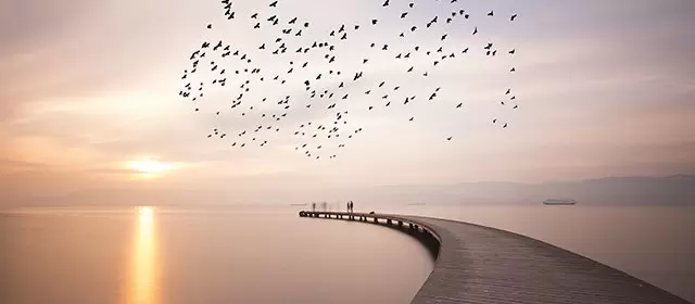 Horoskop vom Donnerstag 20 November 2025