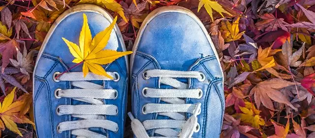 Horoskop vom Freitag 21 November 2025