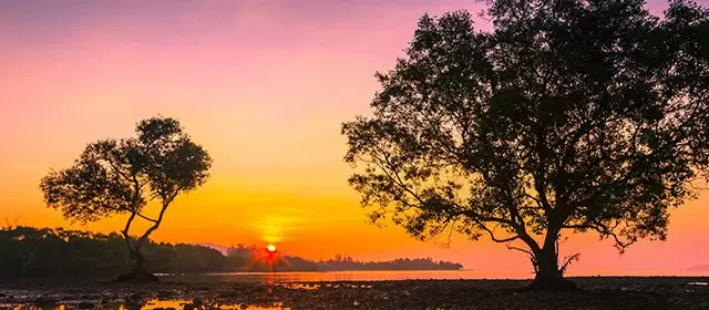 Horoskop vom Samstag 22 November 2025