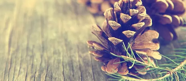 Horoskop vom Sonntag 7 Dezember 2025