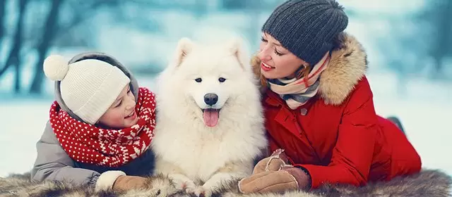 Horoskop vom  Sonntag 14 Dezember 2025