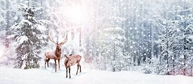 Horoskop vom  Mittwoch 17 Dezember 2025