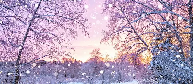 Horoskop vom Montag 22 Dezember 2025