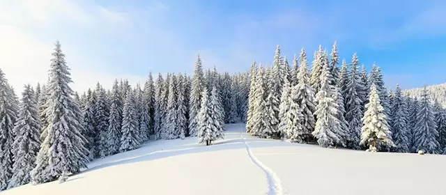 Horoskop vom Dienstag 30 Dezember 2025